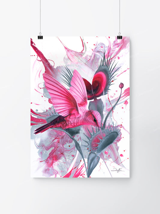 Pink Hummingbird (Kunstdruck)